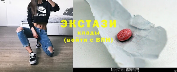 стаф Верея