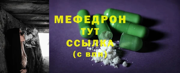 стаф Верея