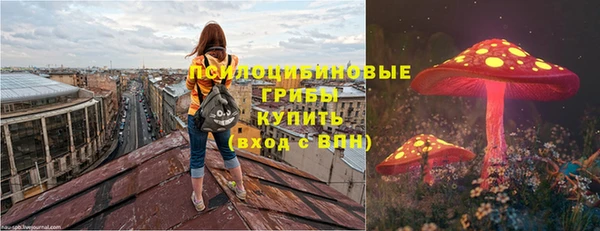 стаф Верея