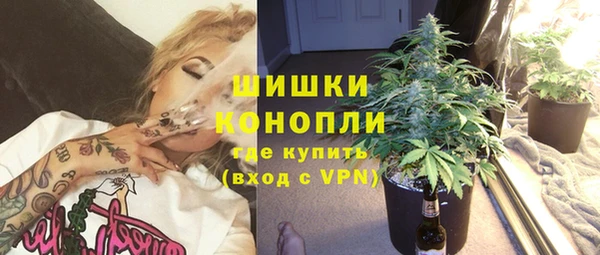 стаф Верея