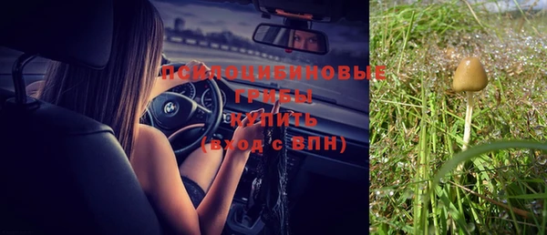 стаф Верея