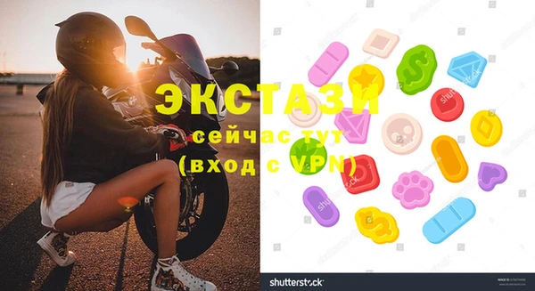 стаф Верея