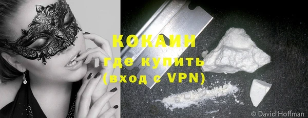 стаф Верея