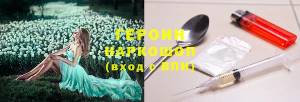 стаф Верея